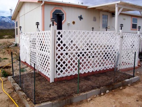 Desert gardening 3
